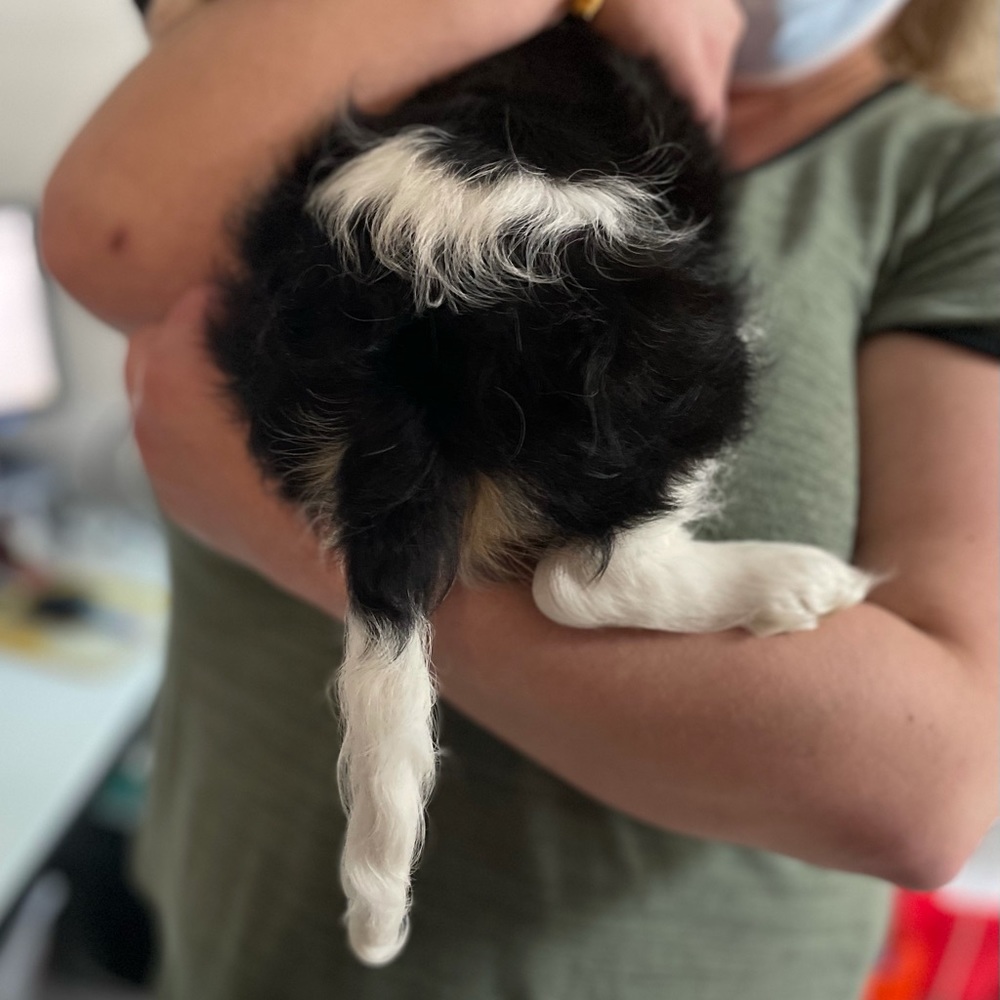 Meet your Posher, Devin